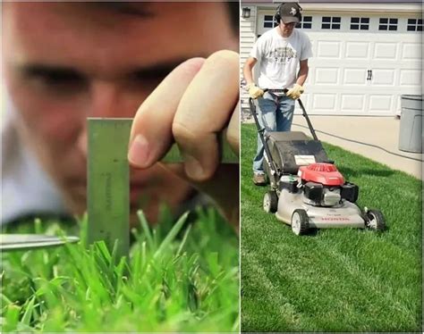 When To Mow New Grass After Overseeding Find Proper Time