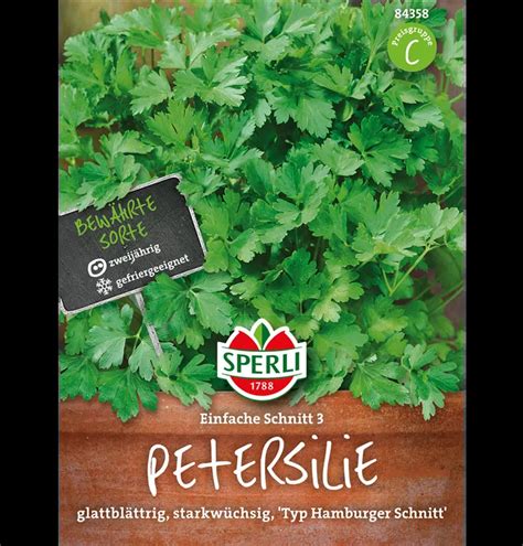 Glattblättrige Petersilie Einfache Schnitt 3 Petroselinum crispum