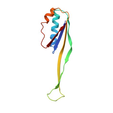 Rcsb Pdb 5f8k Crystal Structure Of The Bac7 1 16 Antimicrobial Peptide Bound To The Thermus