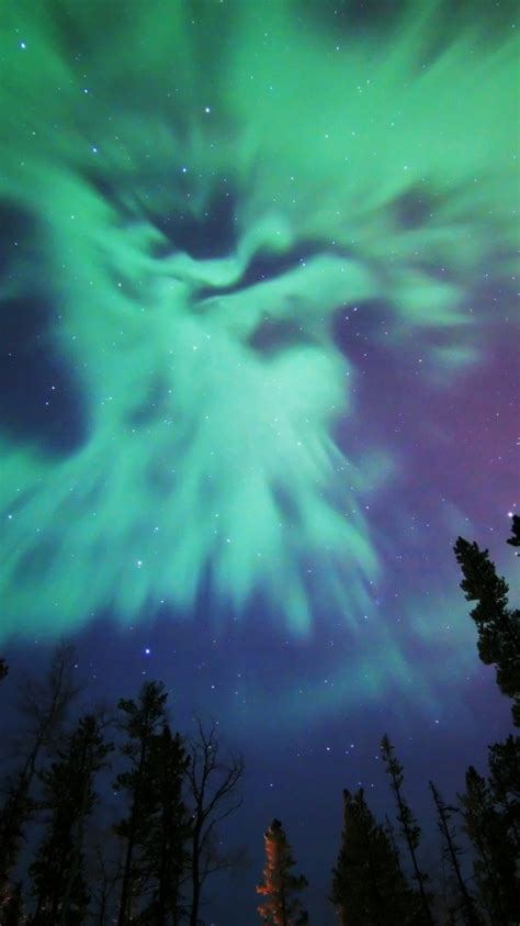 Earth Aurora Borealis, Sky, Stars, Light, Nature, Night, 750x1334 Phone ...