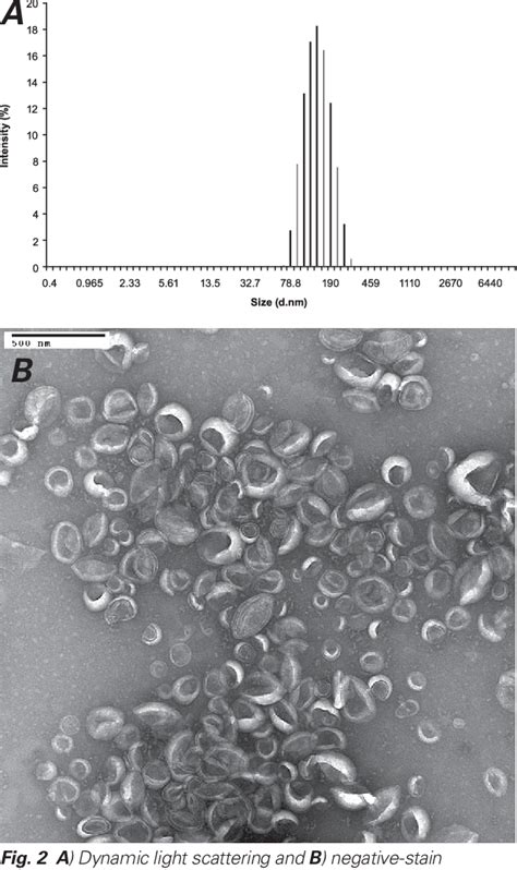 Figure From Antibody Labeled Liposomes For Ct Imaging Of