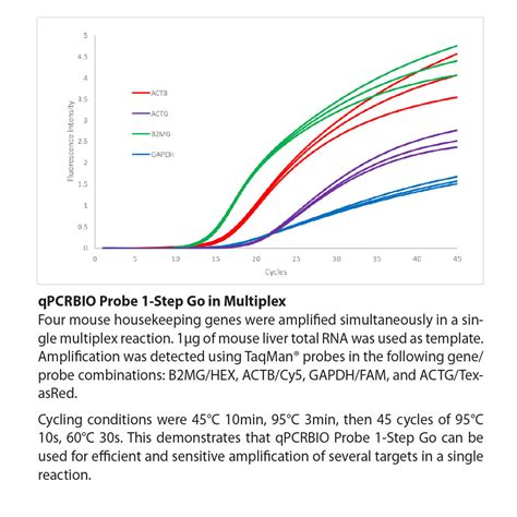 QPCRBIO Probe 1 Step Go No ROX VG Scientific