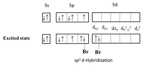 The structure of $IBr_{2}^{-}$ involves hybridization of the type:(A) $s{{p}^{3}}$(B) $s{{p}^{3 ...