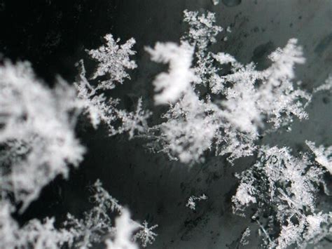 Flockenforschung Leise Rieselt Der Schnee Das Schmutzige Geheimnis