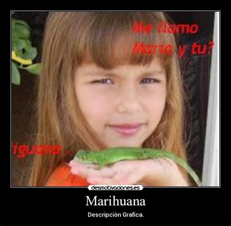 Imágenes Y Carteles De Marihuana Pag 133 Desmotivaciones