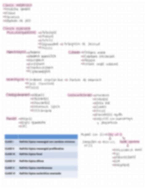 Solution Lupus Eritematoso Sistemico Studypool