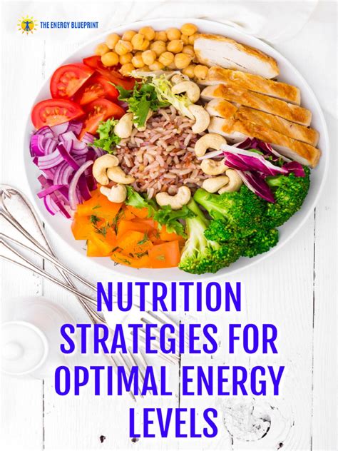 7.4 Energy-Blueprint-Nutrition-Summary-Document-2019 | PDF | Dieting ...