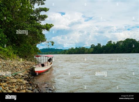 Rio Napo in Misahualli, Amazon, Ecuador Stock Photo - Alamy