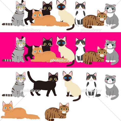 いろいろな猫のイラストセット イラスト素材 6005859 フォトライブラリー Photolibrary