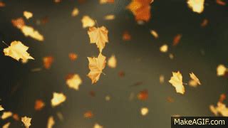 Falling Autumn Leaves Background loop 2 (Read Desc) on Make a GIF