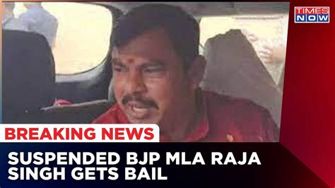 Suspended Bjp Mla Raja Singh Gets Bail Hours After Arrest Prophet