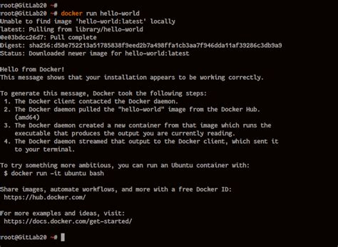 How To Install Gitlab With Docker On Ubuntu Lts C Ng Ng Linux