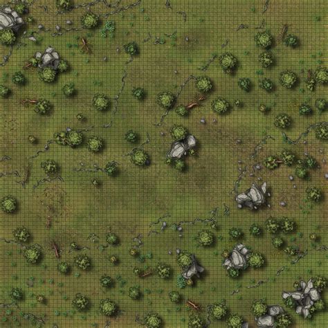 80x80 Large Forest Battlemap With Big Rocks Rdndmaps