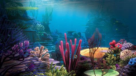 Underwater Oceans Coral Reefs 4K HD Nature Wallpapers | HD Wallpapers