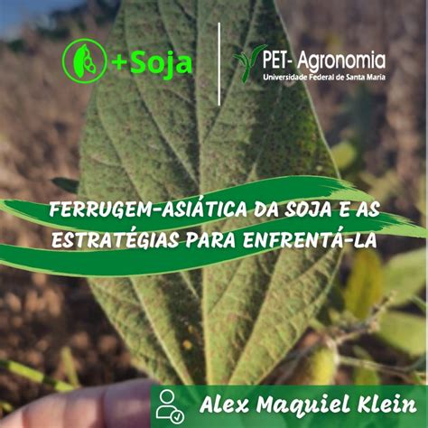 Ferrugem Asi Tica Da Soja E As Estrat Gias Para Enfrent La Pet Agronomia