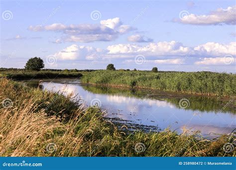 Clouds Reflections The Water Wild River Nature Cloudscape Summer Day