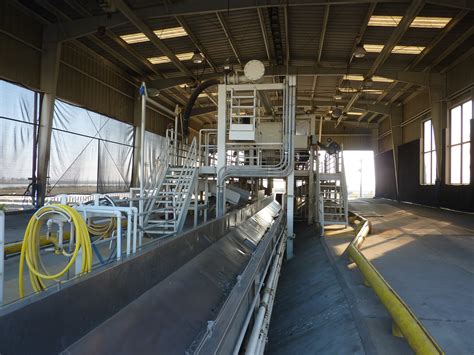 Tomato Processing Business Plan 9