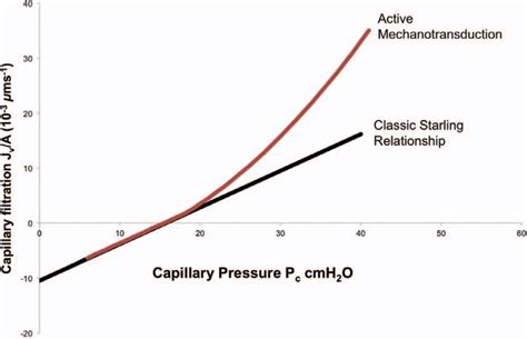 Figure 1 from THE STARLING EQUATION AND PULMONARY EDEMA | Semantic Scholar