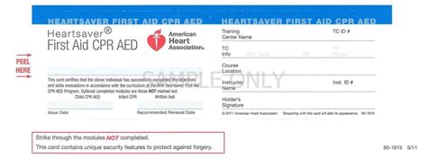 Cpr Card Template – Sample.gelorailmu.com