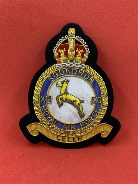 Royal Air Force Xc Squadron Blazer Badge Raf Hand Embroidered Bullion