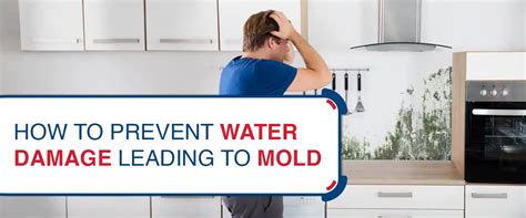 How To Prevent Water Damage Leading To Mold Emergency Mitigation Services