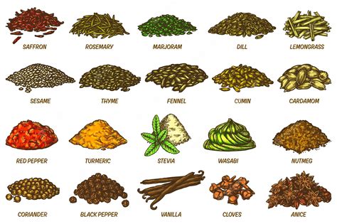 Premium Vector Spices And Herbs Sketch Set Vector Line Icons