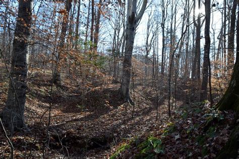 10 36 Acres In Farmville VA 23901 LandWatch