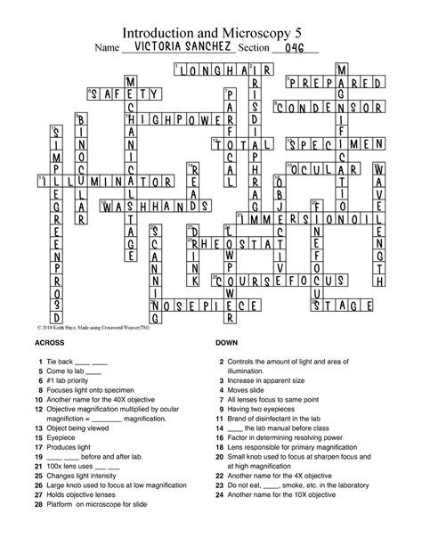 Crossword Puzzle On Microbiology Introduction And Microscopy 5 Name