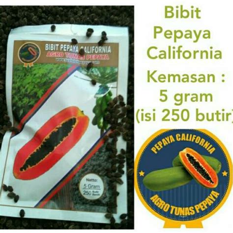 Jual Benih Pepaya California Ipb Kemasan Gram Butir