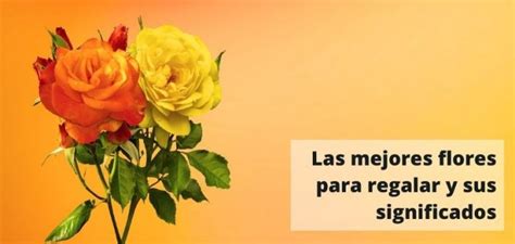 Las Mejores Flores Para Regalar Y Sus Significados