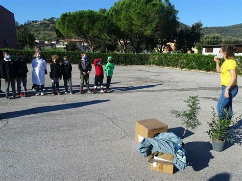 Festa Dell Albero I Piccoli Di Castiglione Regalano Nuove Piante