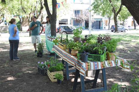 La Feria Ecofines El Cl Sico De Los S Bados Volver A Estar Ma Ana En