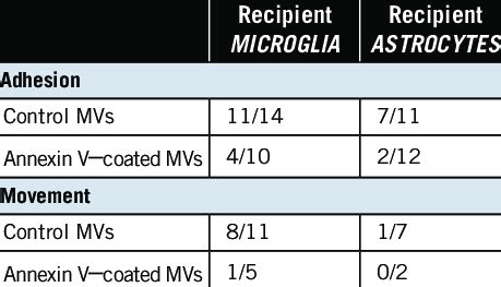 Adhesion And Movement Of Microglial Microvesicles Mvs On Microglia Or