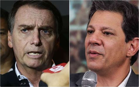 Veja As Propostas De Bolsonaro E Haddad Para O Meio Ambiente