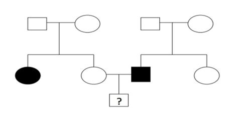 Solved Phenylketonuria Pku Is An Inherited Disorder That Can Lead