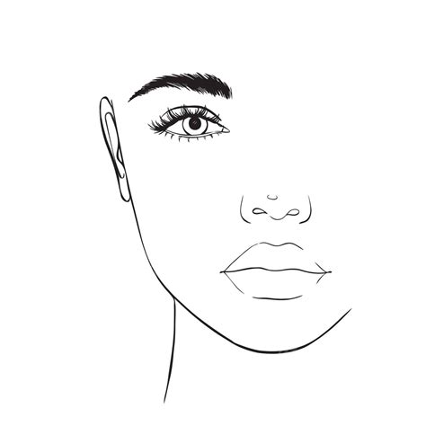 vector de rostro femenino