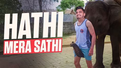 Hathi Mera Sathi | BGMI - YouTube