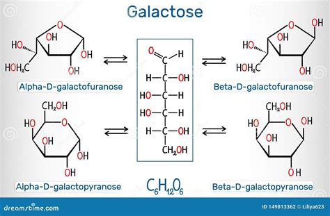 Tautomeric Formen Von D Galaktose Milchzucker Alpha D Galactofuranose