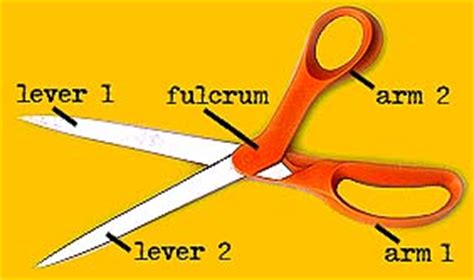 What is a lever?