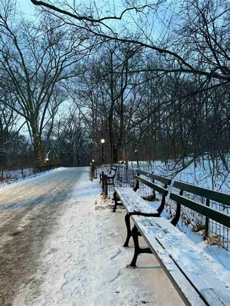 Eua Vivem Tempestade De Neve E Frio Deixa Mortos Em V Rios Estados