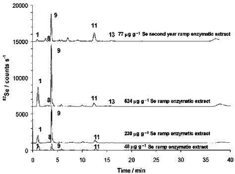 Hplc Icp Ms Chromatograms Of Enzymatic Extracts Of 48 77 230 And 524 Download Scientific