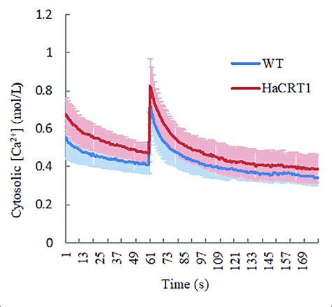 Cytosolic Calcium Concentration Dynamics In HaCRT1 Transgenic And WT