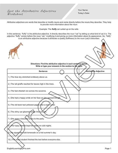 Attributive Adjectives Worksheets Bundle For English Learners And