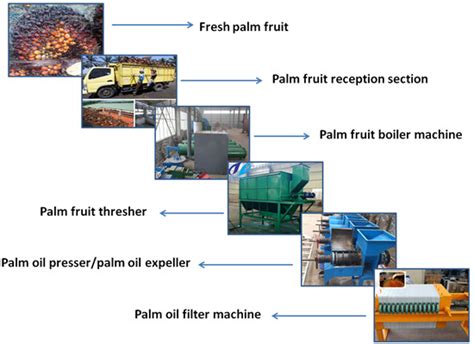 Manufacture Red palm oil extraction process,Low cost price for sale ...