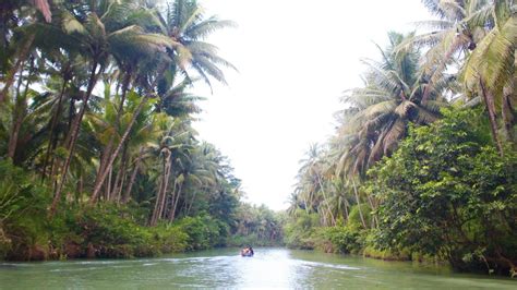 Pesona Sungai Maron Pacitan Nuansa Amazon Di Jawa Timur