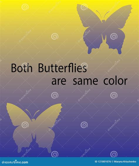 Optical Illusion Both Butterflies Are The Same Color Stock Vector