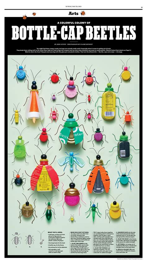 Bottlecap Beetles for The New York Times for Kids — super make it