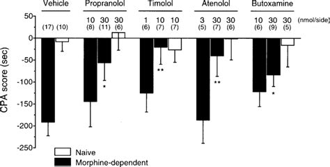 Effects Of Intra Cea Central Nucleus Of The Amygdala Injections Of Download Scientific