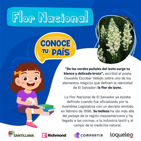 Flor Nacional De El Salvador 3