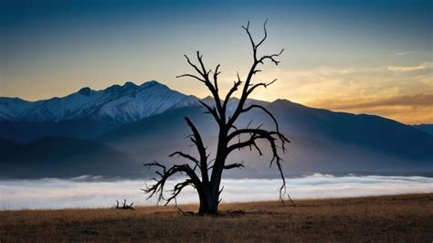 A lone dead tree stands in front of a mountain symbolizing solitude and ...